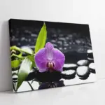 Spa Taşları Ve Orkide | Kanvas Tablo | Cam Tablo | Mdf Tablo | A23158
