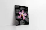 Spa Taşları Ve Orkide | Kanvas Tablo | Cam Tablo | Mdf Tablo | A23159