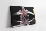Spa Taşları Ve Orkide | Kanvas Tablo | Cam Tablo | Mdf Tablo | A23160