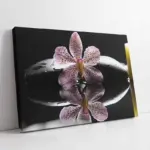 Spa Taşları Ve Orkide | Kanvas Tablo | Cam Tablo | Mdf Tablo | A23160