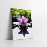 Spa Taşları Ve Orkide | Kanvas Tablo | Cam Tablo | Mdf Tablo | A23161