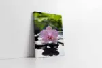 Spa Taşları Ve Orkide | Kanvas Tablo | Cam Tablo | Mdf Tablo | A23163