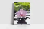 Spa Taşları Ve Orkide | Kanvas Tablo | Cam Tablo | Mdf Tablo | A23163 - Görsel 2