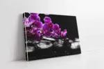 Spa Taşları Ve Orkide | Kanvas Tablo | Cam Tablo | Mdf Tablo | A23166