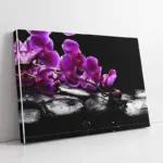 Spa Taşları Ve Orkide | Kanvas Tablo | Cam Tablo | Mdf Tablo | A23166
