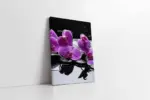 Spa Taşları Ve Orkide | Kanvas Tablo | Cam Tablo | Mdf Tablo | A23171