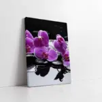 Spa Taşları Ve Orkide | Kanvas Tablo | Cam Tablo | Mdf Tablo | A23171