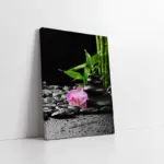Spa Taşları Ve Orkide | Kanvas Tablo | Cam Tablo | Mdf Tablo | A23173