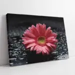 Spa Taşları Ve Orkide | Kanvas Tablo | Cam Tablo | Mdf Tablo | A23175