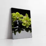 Spa Taşları Ve Orkide | Kanvas Tablo | Cam Tablo | Mdf Tablo | A23177