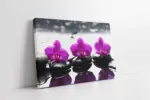 Spa Taşları Ve Orkide | Kanvas Tablo | Cam Tablo | Mdf Tablo | A23178