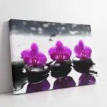 Spa Taşları Ve Orkide | Kanvas Tablo | Cam Tablo | Mdf Tablo | A23178