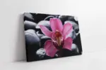 Spa Taşları Ve Orkide | Kanvas Tablo | Cam Tablo | Mdf Tablo | A23179