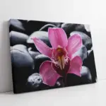 Spa Taşları Ve Orkide | Kanvas Tablo | Cam Tablo | Mdf Tablo | A23179