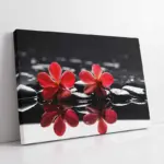 Spa Taşları Ve Orkide | Kanvas Tablo | Cam Tablo | Mdf Tablo | A23187