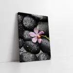 Spa Taşları Ve Orkide | Kanvas Tablo | Cam Tablo | Mdf Tablo | A23188