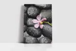Spa Taşları Ve Orkide | Kanvas Tablo | Cam Tablo | Mdf Tablo | A23188 - Görsel 2