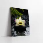 Spa Taşları Ve Orkide | Kanvas Tablo | Cam Tablo | Mdf Tablo | A23189
