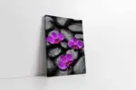Spa Taşları Ve Orkide | Kanvas Tablo | Cam Tablo | Mdf Tablo | A23199