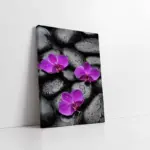 Spa Taşları Ve Orkide | Kanvas Tablo | Cam Tablo | Mdf Tablo | A23199