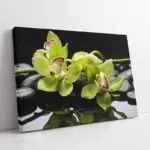 Spa Taşları Ve Orkide | Kanvas Tablo | Cam Tablo | Mdf Tablo | A23202