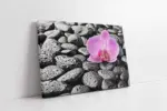 Spa Taşları Ve Orkide | Kanvas Tablo | Cam Tablo | Mdf Tablo | A23203