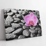 Spa Taşları Ve Orkide | Kanvas Tablo | Cam Tablo | Mdf Tablo | A23203