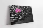 Spa Taşları Ve Orkide | Kanvas Tablo | Cam Tablo | Mdf Tablo | A23208