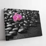 Spa Taşları Ve Orkide | Kanvas Tablo | Cam Tablo | Mdf Tablo | A23208
