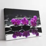 Spa Taşları Ve Orkide | Kanvas Tablo | Cam Tablo | Mdf Tablo | A23216