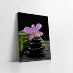 Spa Taşları Ve Orkide | Kanvas Tablo | Cam Tablo | Mdf Tablo | A23218