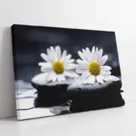 Spa Taşları Ve Papatya | Kanvas Tablo | Cam Tablo | Mdf Tablo | A23228