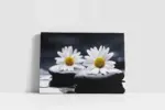 Spa Taşları Ve Papatya | Kanvas Tablo | Cam Tablo | Mdf Tablo | A23228 - Görsel 2