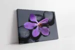 Spa Taşları Ve Orkide | Kanvas Tablo | Cam Tablo | Mdf Tablo | A23237