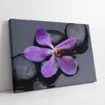 Spa Taşları Ve Orkide | Kanvas Tablo | Cam Tablo | Mdf Tablo | A23237