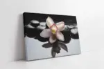 Spa Taşları Ve Orkide | Kanvas Tablo | Cam Tablo | Mdf Tablo | A23238