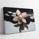 Spa Taşları Ve Orkide | Kanvas Tablo | Cam Tablo | Mdf Tablo | A23238