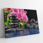 Spa Taşları Ve Orkide | Kanvas Tablo | Cam Tablo | Mdf Tablo | A23239