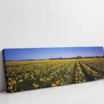 Panoramik Doğa | Kanvas Tablo | Cam Tablo | Mdf Tablo | A25058