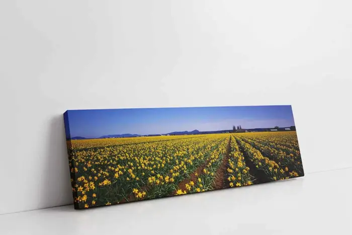 Panoramik Doğa | Kanvas Tablo | Cam Tablo | Mdf Tablo | A25058 - Görsel 1