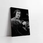 Neil Diamond | Kanvas Tablo | Cam Tablo | Mdf Tablo | A31253