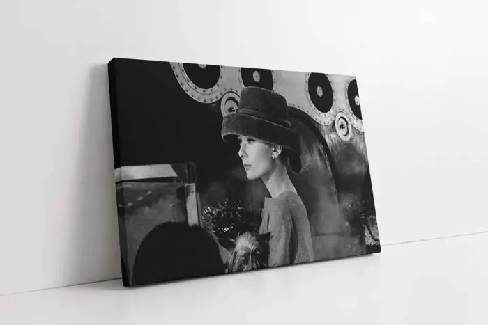 Audrey Hepburn | Kanvas Tablo | Cam Tablo | Mdf Tablo | A31357 - Görsel 1