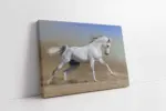 Koşan Beyaz At | Kanvas Tablo | Cam Tablo | Mdf Tablo | A32001