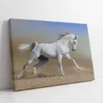Koşan Beyaz At | Kanvas Tablo | Cam Tablo | Mdf Tablo | A32001