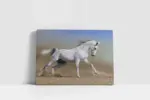 Koşan Beyaz At | Kanvas Tablo | Cam Tablo | Mdf Tablo | A32001 - Görsel 2