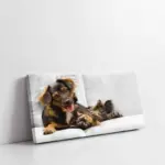 Köpek Ve Kedi | Kanvas Tablo | Cam Tablo | Mdf Tablo | A32002