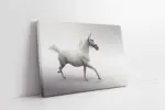 Koşan Beyaz At | Kanvas Tablo | Cam Tablo | Mdf Tablo | A32003