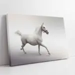 Koşan Beyaz At | Kanvas Tablo | Cam Tablo | Mdf Tablo | A32003