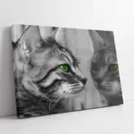 Siyah Beyaz Kedi | Kanvas Tablo | Cam Tablo | Mdf Tablo | A32005