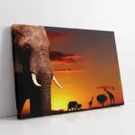 Fil Zürafa Safari | Kanvas Tablo | Cam Tablo | Mdf Tablo | A32007